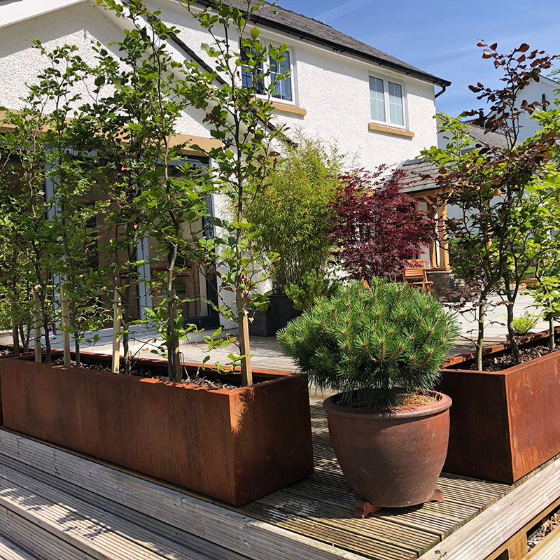 Which Plants Are Suitable for Corten Steel Flower Pots?